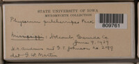 Image Associated With the Occurence